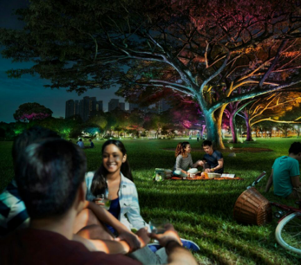 飛(fei)利浦炤明髮佈2016年(nian)報，可持續髮展業務銷售佔